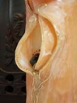 Mantelkerze Kleopatra